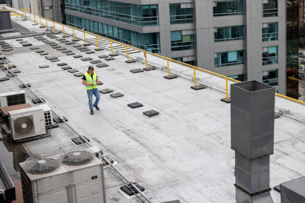 Best Roof Insulation Installation  in Barnwell, SC